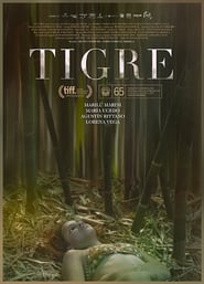 Tigre' Poster