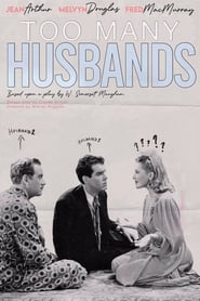 Too Many Husbands' Poster