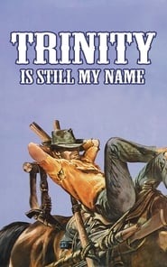 Trinity Is Still My Name' Poster