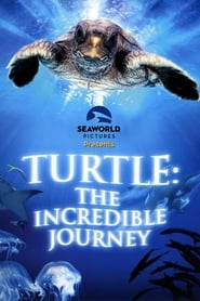 Streaming sources forTurtle The Incredible Journey