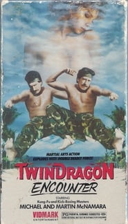 Twin Dragon Encounter' Poster