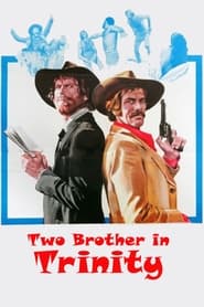 Two Brothers in Trinity' Poster