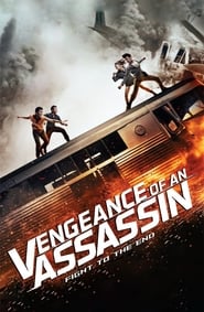 Vengeance of an Assassin' Poster