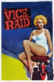 Vice Raid' Poster