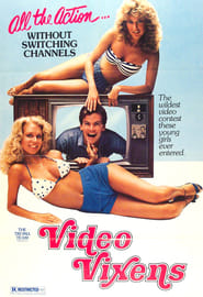 Video Vixens' Poster