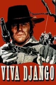 Viva Django' Poster