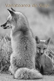 Fox Hunting' Poster