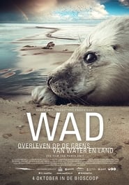 Wad surviving on the border of water and land' Poster