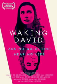 Waking David' Poster