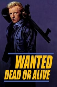 Wanted Dead or Alive' Poster