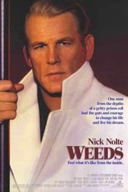 Weeds' Poster