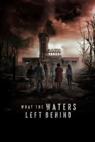What the Waters Left Behind' Poster
