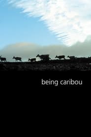 Being Caribou' Poster