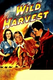 Wild Harvest' Poster