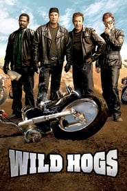 Wild Hogs' Poster