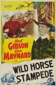 Wild Horse Stampede' Poster