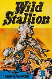 Wild Stallion' Poster