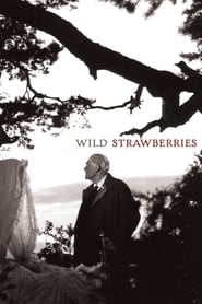 Wild Strawberries' Poster