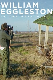 William Eggleston in the Real World' Poster