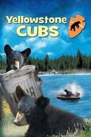 Yellowstone Cubs' Poster