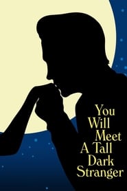 You Will Meet a Tall Dark Stranger' Poster