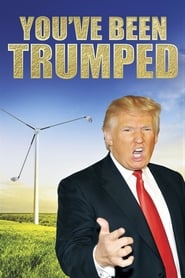 Youve Been Trumped' Poster