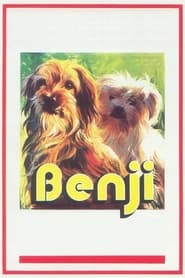 Benji' Poster
