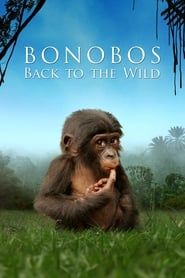 Bonobos Back to the Wild' Poster