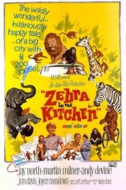 Zebra in the Kitchen' Poster