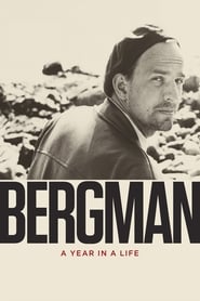 Bergman A Year in a Life' Poster