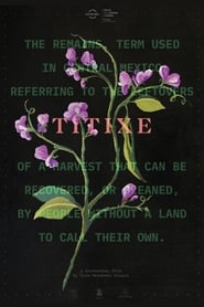 Titixe' Poster