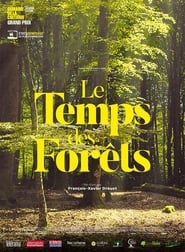 The Time of Forests' Poster