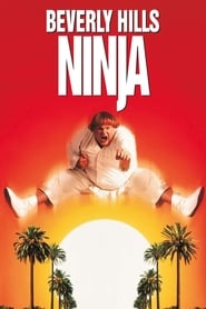 Streaming sources forBeverly Hills Ninja