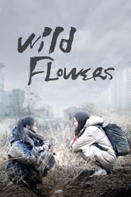 Wild Flowers' Poster