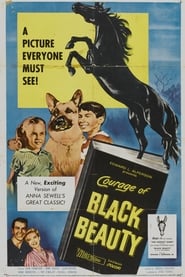 Courage of Black Beauty' Poster