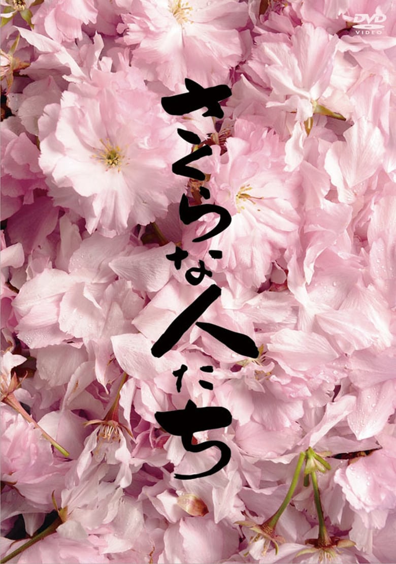 Looking for Cherry Blossoms Poster