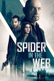 Spider in the Web' Poster