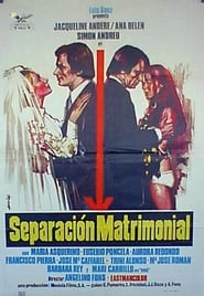 Separacin matrimonial' Poster