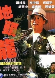 The Dragon Fighter' Poster