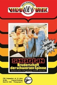 Shaolin Iron Finger' Poster