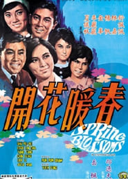 Spring Blossoms' Poster