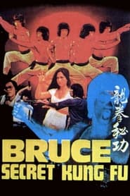 Bruces Secret Kung Fu' Poster