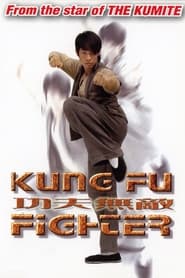 Kung Fu Fighter' Poster