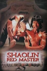 Shaolin Tough Kid' Poster