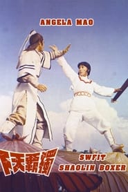 Swift Shaolin Boxer' Poster