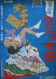 Shoya no kiroku Midarana ffu' Poster