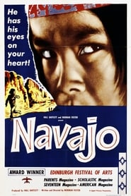 Navajo' Poster