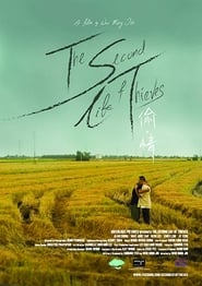 The Second Life of Thieves' Poster