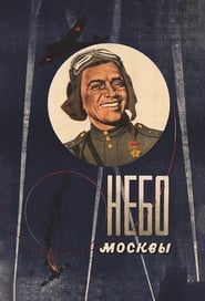 Moscow Skies' Poster