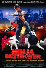 Ninja Destroyer' Poster